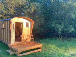 Shepherds Hut on Alpaca and working farm